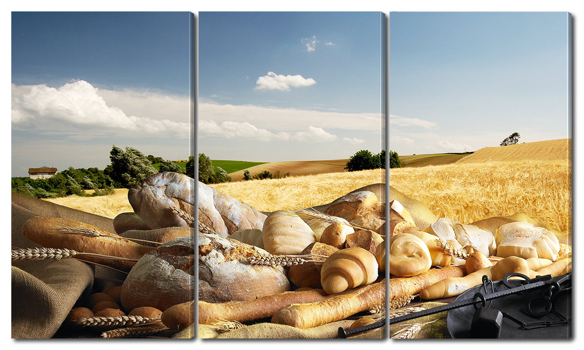 

Модульная картина Interno Эко кожа Продукты из пшеницы 104х58см