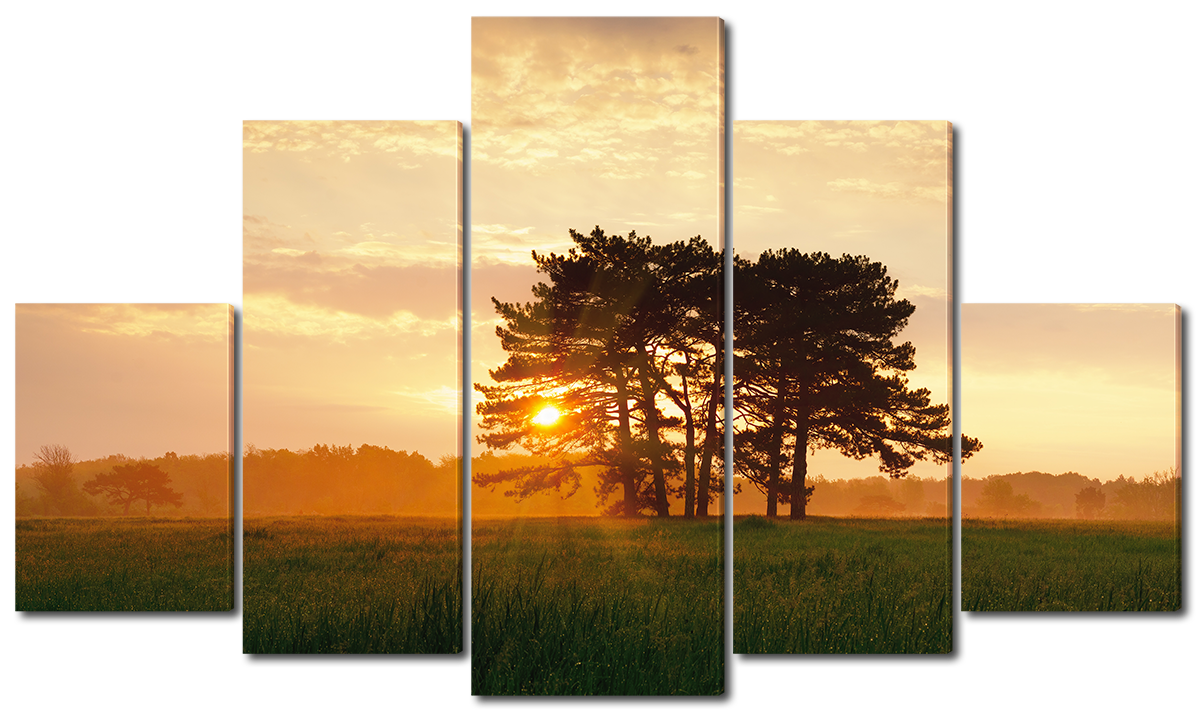 

Модульная картина Interno Эко кожа Закат и дерево в поле 108х60см