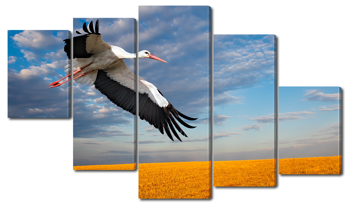 

Модульная картина Interno Холст Полет аиста 123х69см