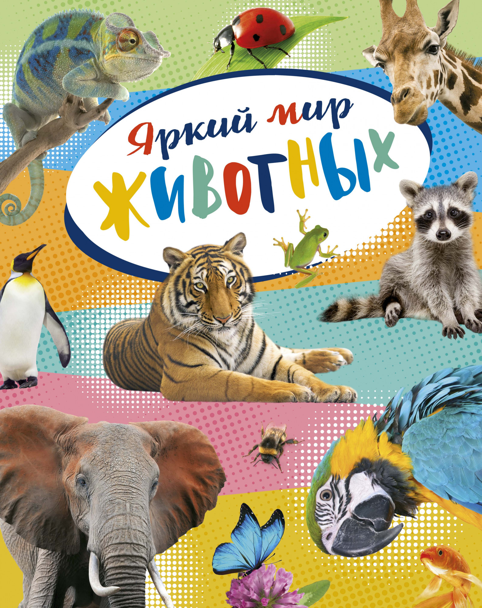 

Яркий мир животных