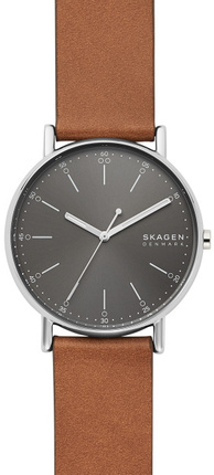 

Мужские наручные часы Skagen SKW6578