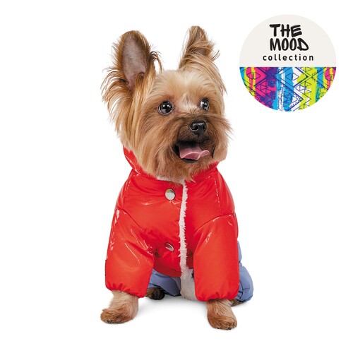 

Костюм для собак PRETTY S Pet Fashion BGL-PF-1386