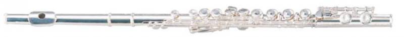 

Флейта MAXTONE TFC60S (TFC40S) 40332