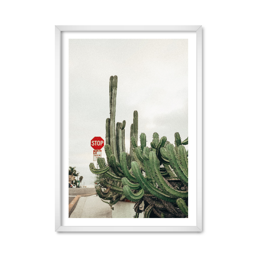 

Постер "Cactus" с антибликовым стеклом 29.7 x 42 см в белой рамке