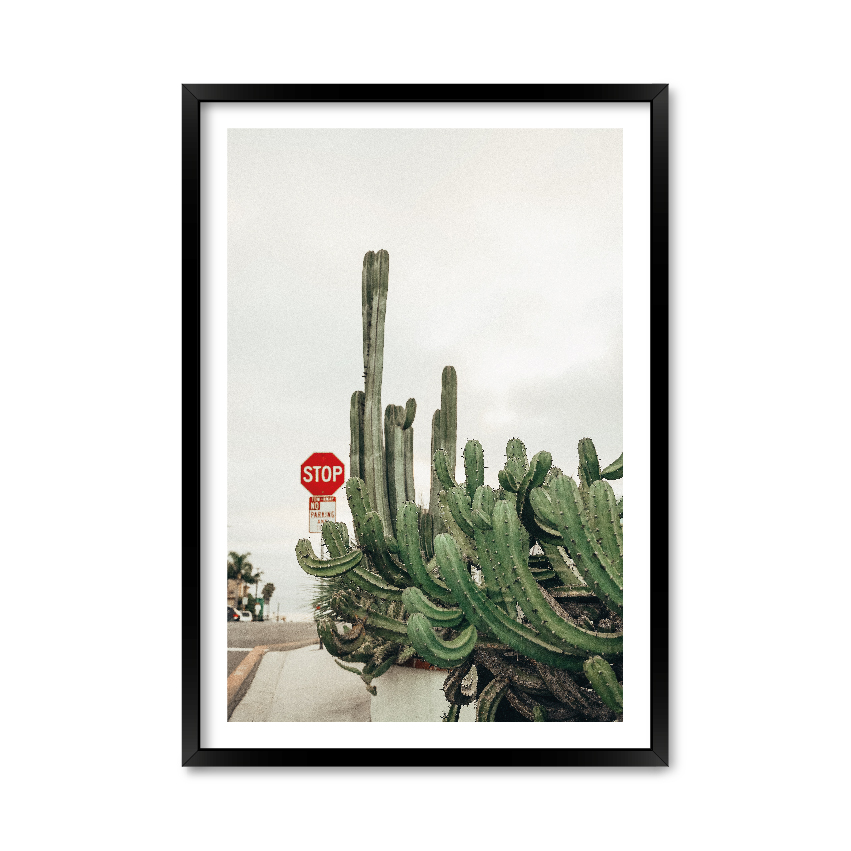 

Постер "Cactus" с антибликовым стеклом 42 x 59.4 см в чёрной рамке