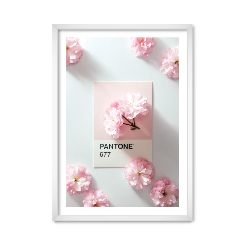 

Постер "Pantone 677" с антибликовым стеклом 42 x 59.4 см в белой рамке