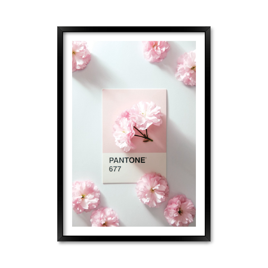 

Постер "Pantone 677" с антибликовым стеклом 59.6 x 84 см в чёрной рамке