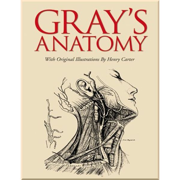 

Gray's Anatomy (Slipcase Edition). Henry Gray. ISBN:9781782124269