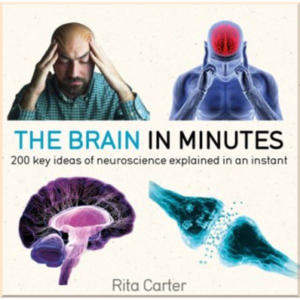 

The Brain in Minutes. Rita Carter. ISBN:9781786485793