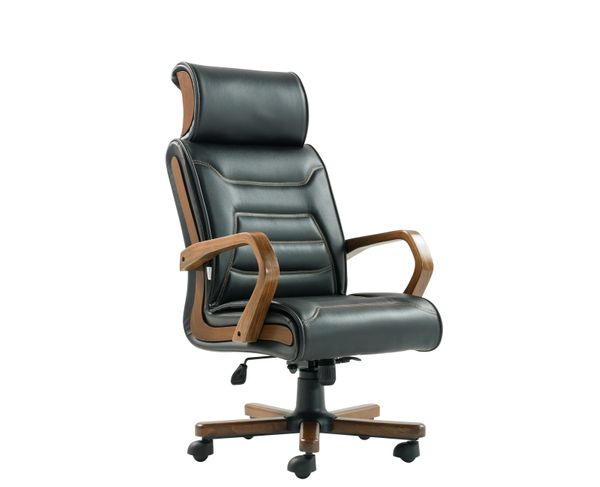 

Кресло для руководителя Astra Executive (ASR10/EXECUTIVE)