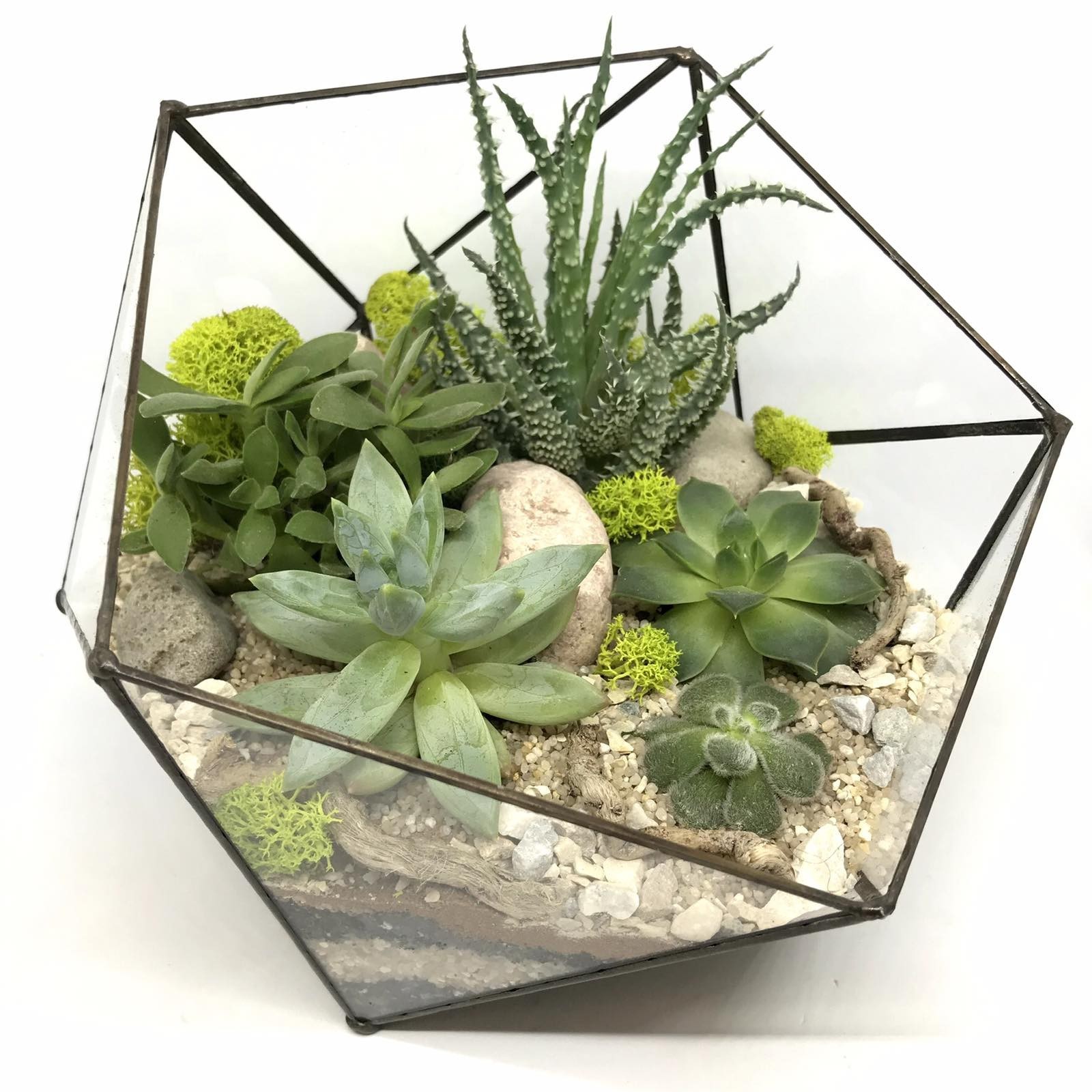 

Флорариум Garden mix Геометрия L бежевый