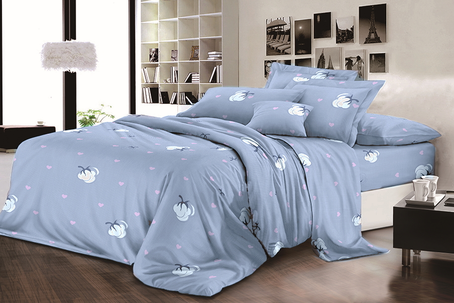 

Пододеяльник MirSon Бязь Premium 17-0119 Anacleto 220х240 см