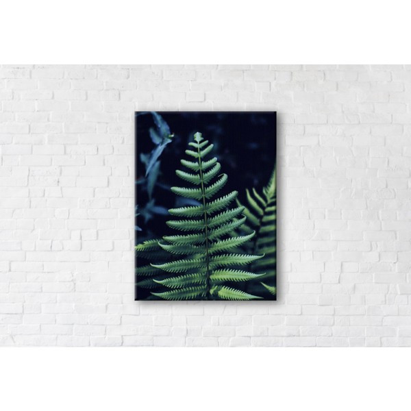 

Картина на холсте прямоугольная I-Art Bracken Fern 75x100см