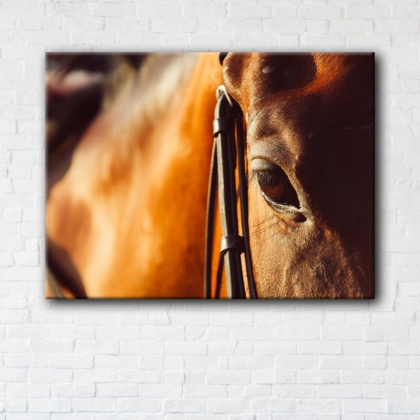 

Картина на холсте прямоугольная I-Art Horse 45x60см
