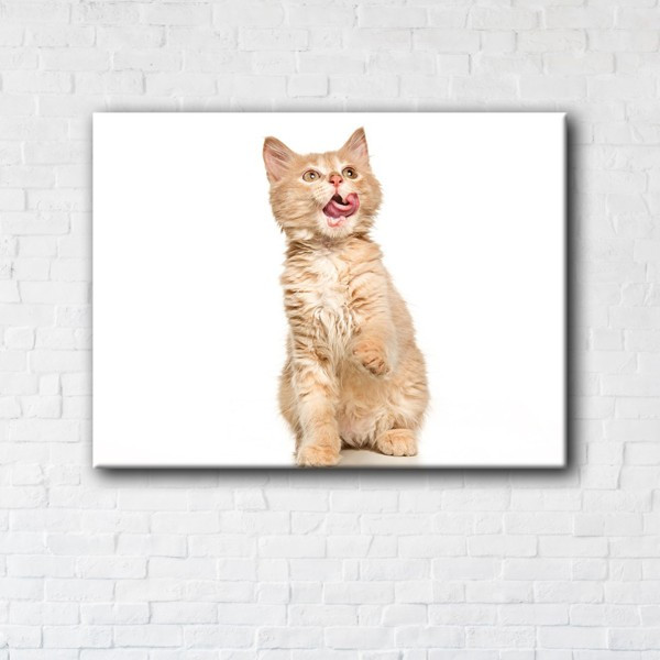 

Картина на холсте прямоугольная I-Art Screaming cat 50x100см