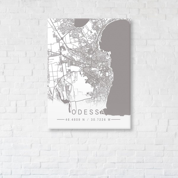 

Картина на холсте прямоугольная I-Art Odessa White Map 45x60см