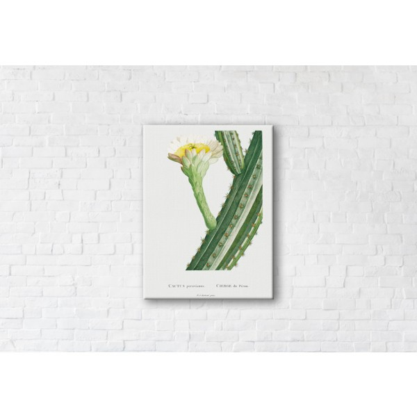 

Картина на холсте прямоугольная I-Art Cactus 75x100см