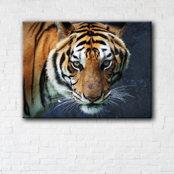 

Картина на холсте прямоугольная I-Art Tiger 90x120см