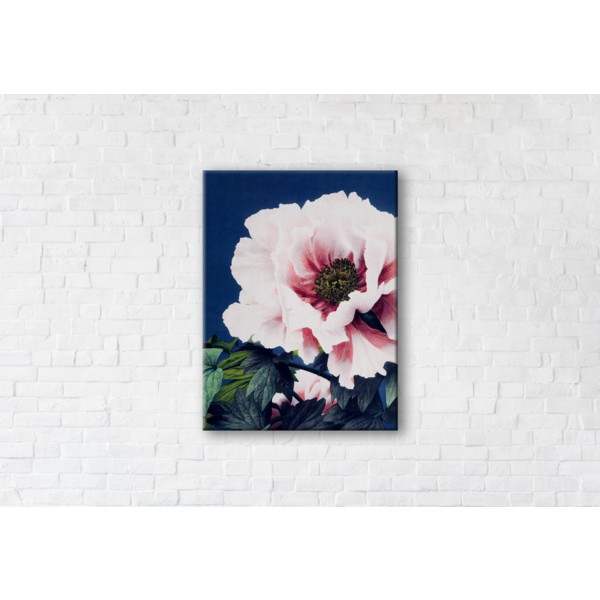 

Картина на холсте прямоугольная I-Art Poppy 50x65см