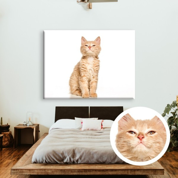 

Картина на холсте прямоугольная I-Art Suspicious cat 50x65см