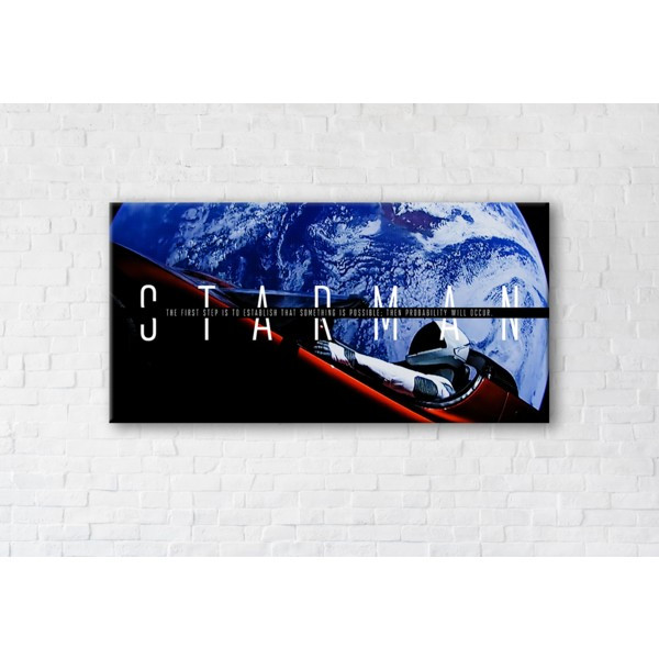 

Картина на холсте прямоугольная I-Art Starman 50x100см