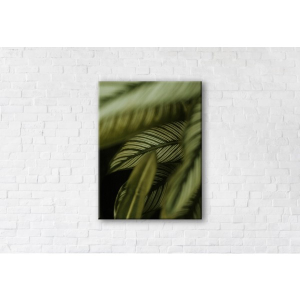 

Картина на холсте прямоугольная I-Art Leaves 50x65см