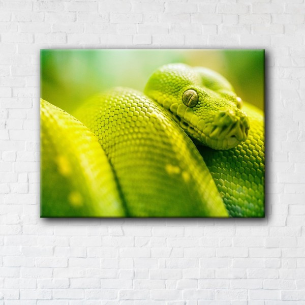 

Картина на холсте прямоугольная I-Art Green Snake 90x120см