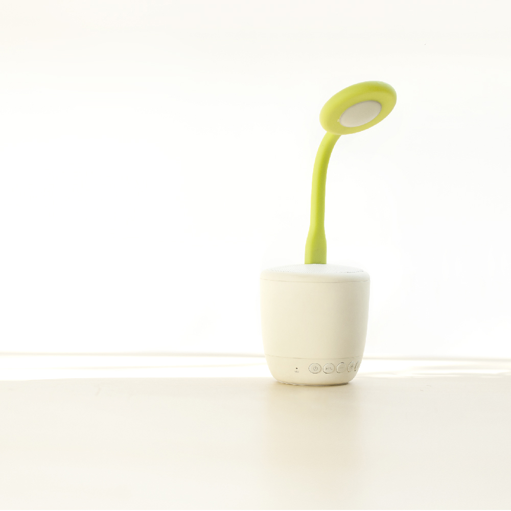

Светильник Emoi H0022 Flower Speaker