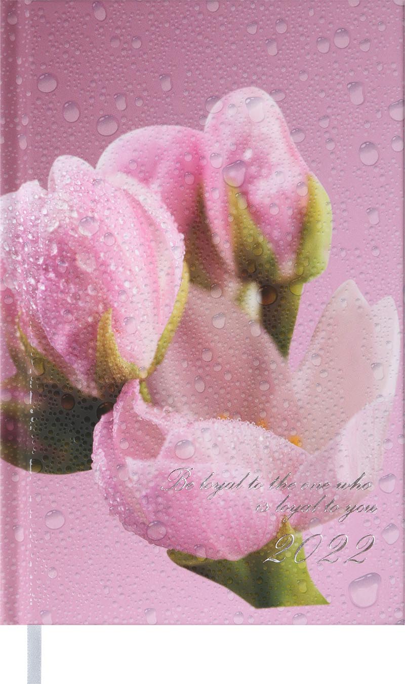 

Ежедневник датированный Buromax Posh A6 на 336 страниц Розовый (BM.2536-10)