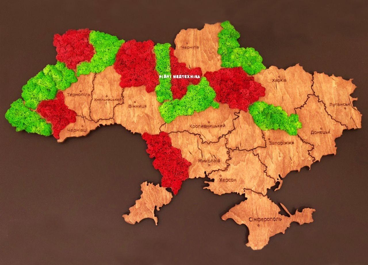 

Карта Украины на стену с фанеры и мха 100х64х1 см 06.19