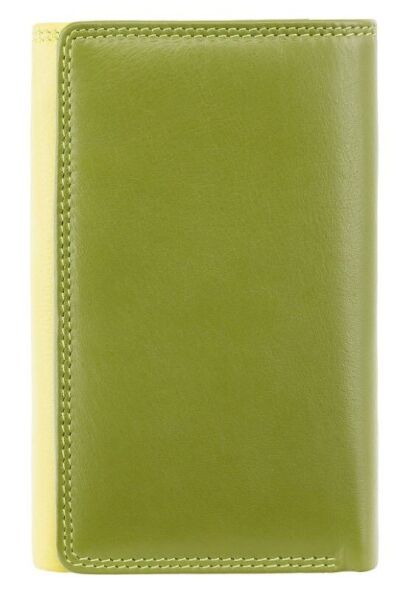 

Женский кожаный кошелек Visconti BORA rb43 lime m