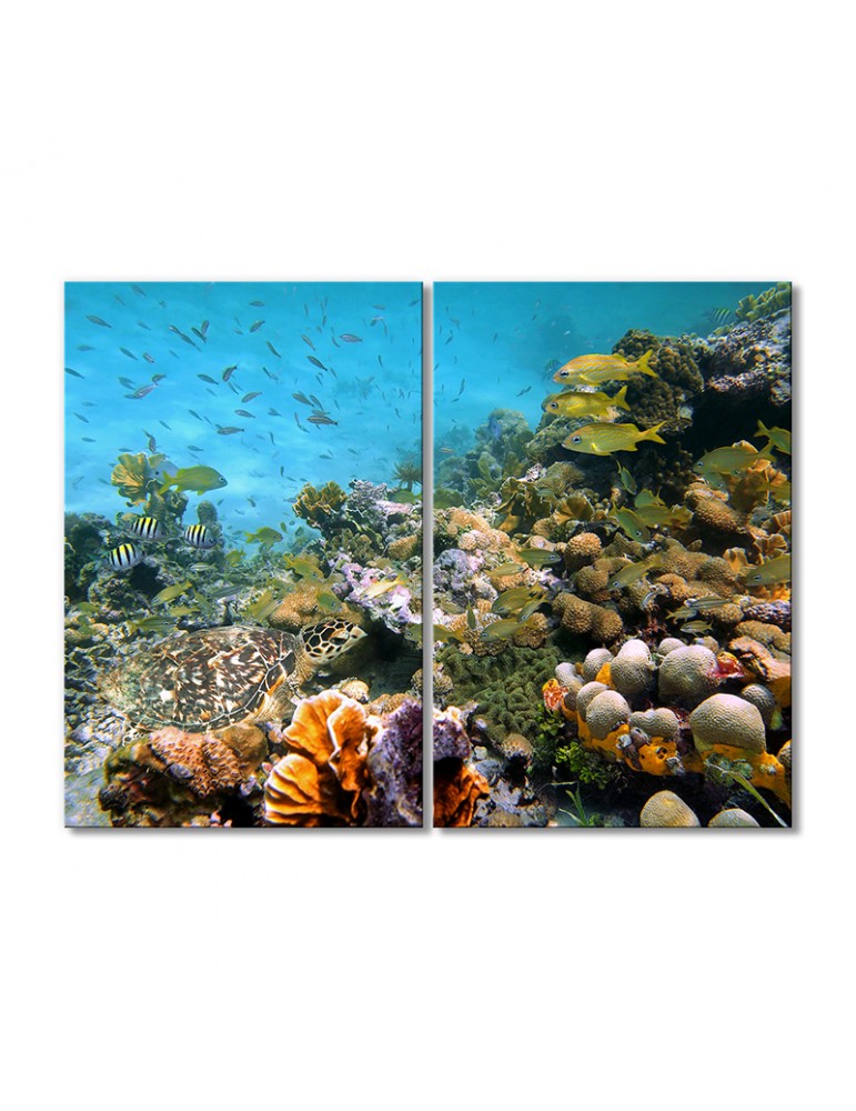 

Модульная картина Artel «Подводный мир кораллы рыбки черепаха» 2 модуля 60x90 см