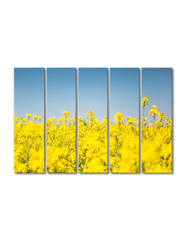 

Модульная картина Artel «Рапсовое поле» 5 модулей 80x120 см
