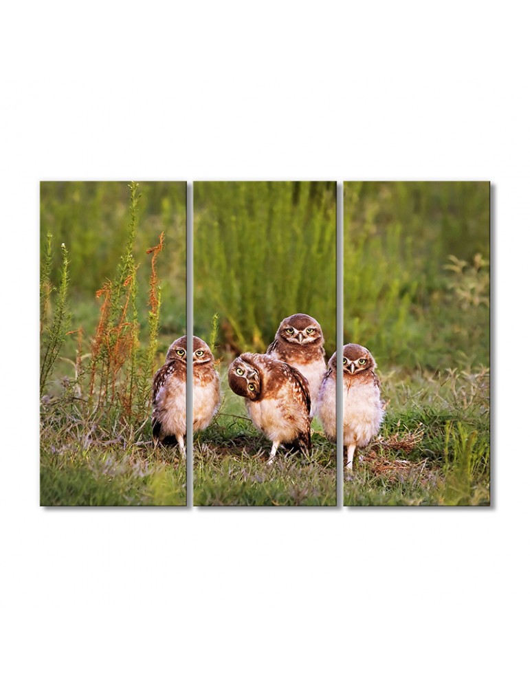 

Модульная картина Artel «Птицы дикой природы» 3 модуля 120x180 см