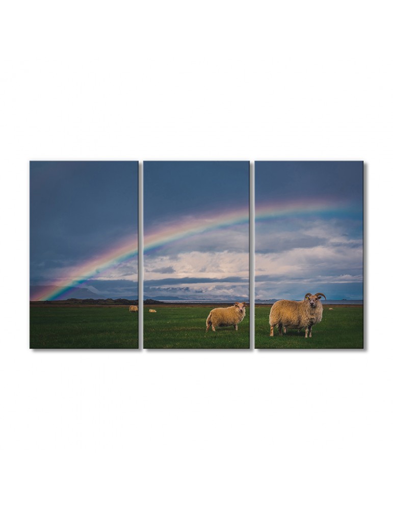 

Модульная картина Artel «Радуга бараны на поле» 3 модуля 80x120 см
