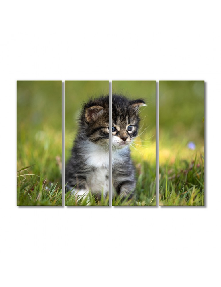 

Модульная картина Artel «Природа и котенок» 4 модуля 70x105 см