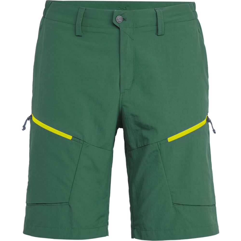 

Шорты Salewa Puez Dry M Зеленый