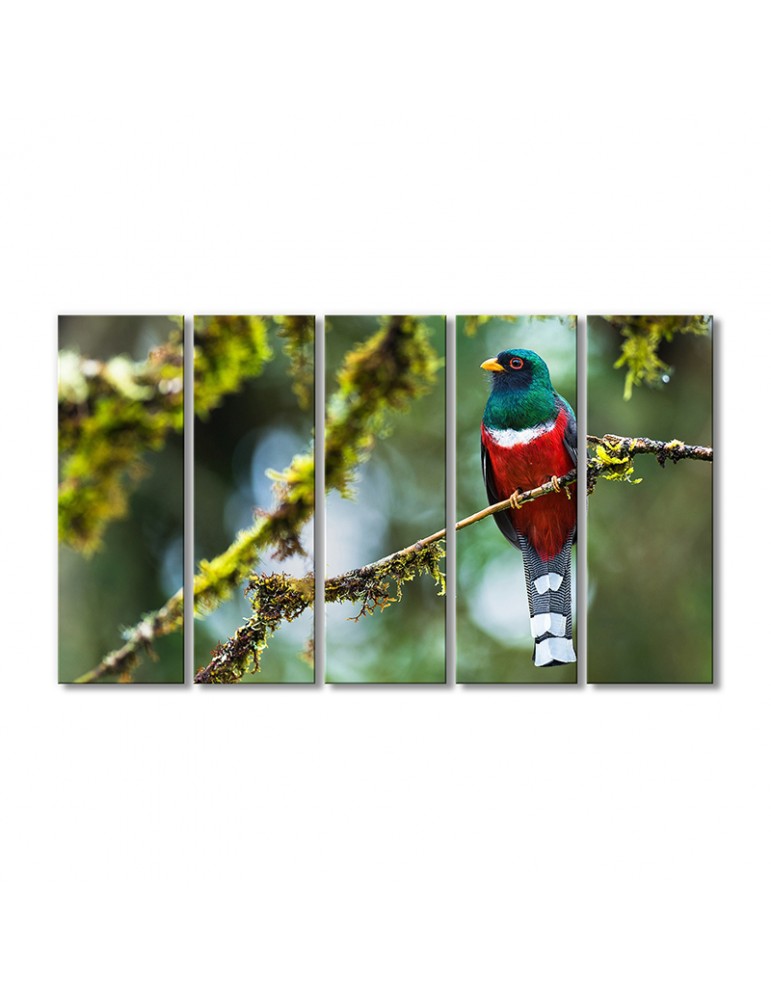 

Модульная картина Artel «Певчие воробьиные» 5 модулей 120x180 см