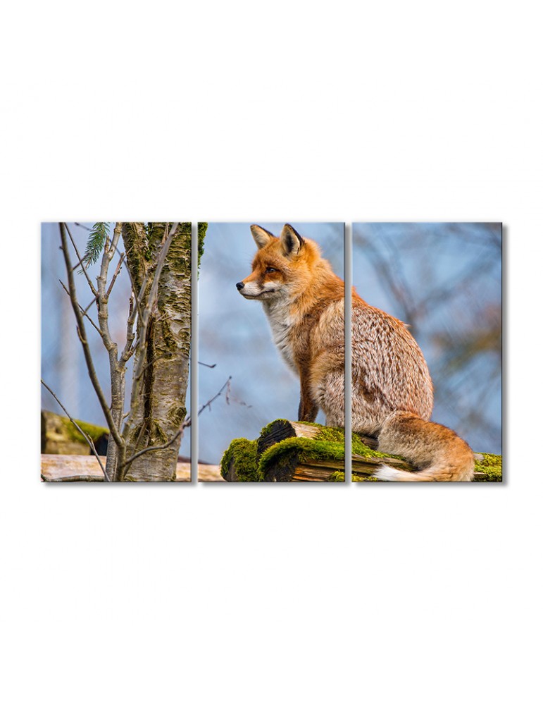 

Модульная картина Artel «Пушистый лисенок ждет» 3 модуля 80x120 см