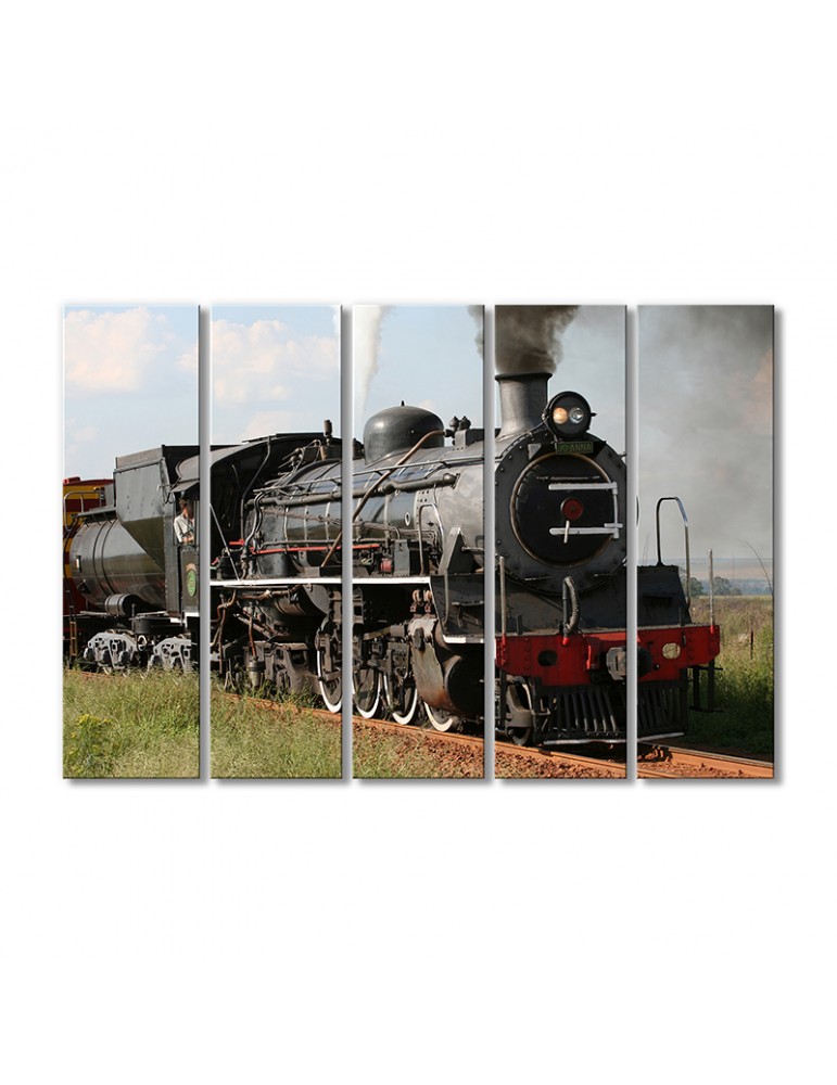 

Модульная картина Artel «Паровоз в степи» 5 модулей 120x180 см