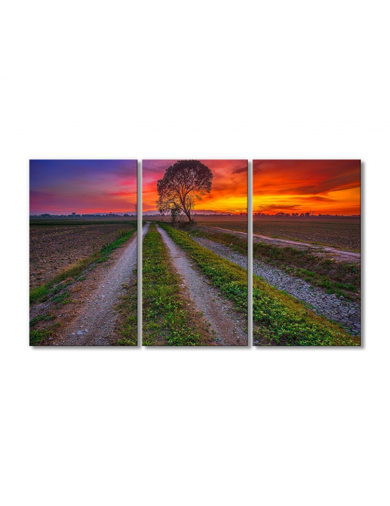 

Модульная картина Artel «Поле дерево закат» 3 модуля 70x105 см