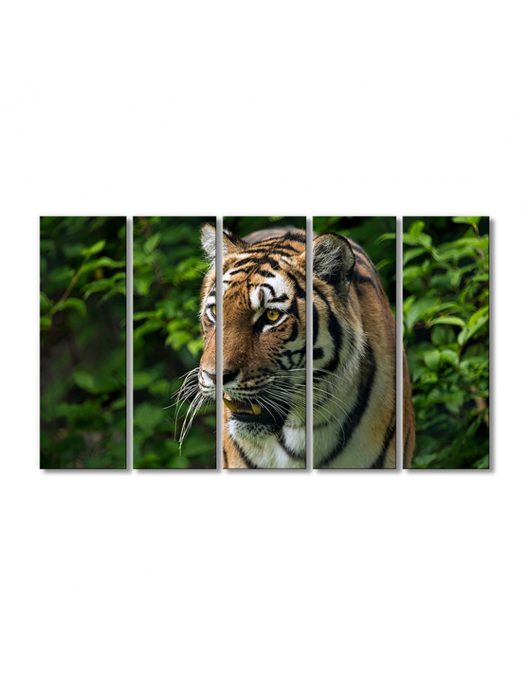 

Модульная картина Artel «Ревущий тигр» 5 модулей 120x180 см