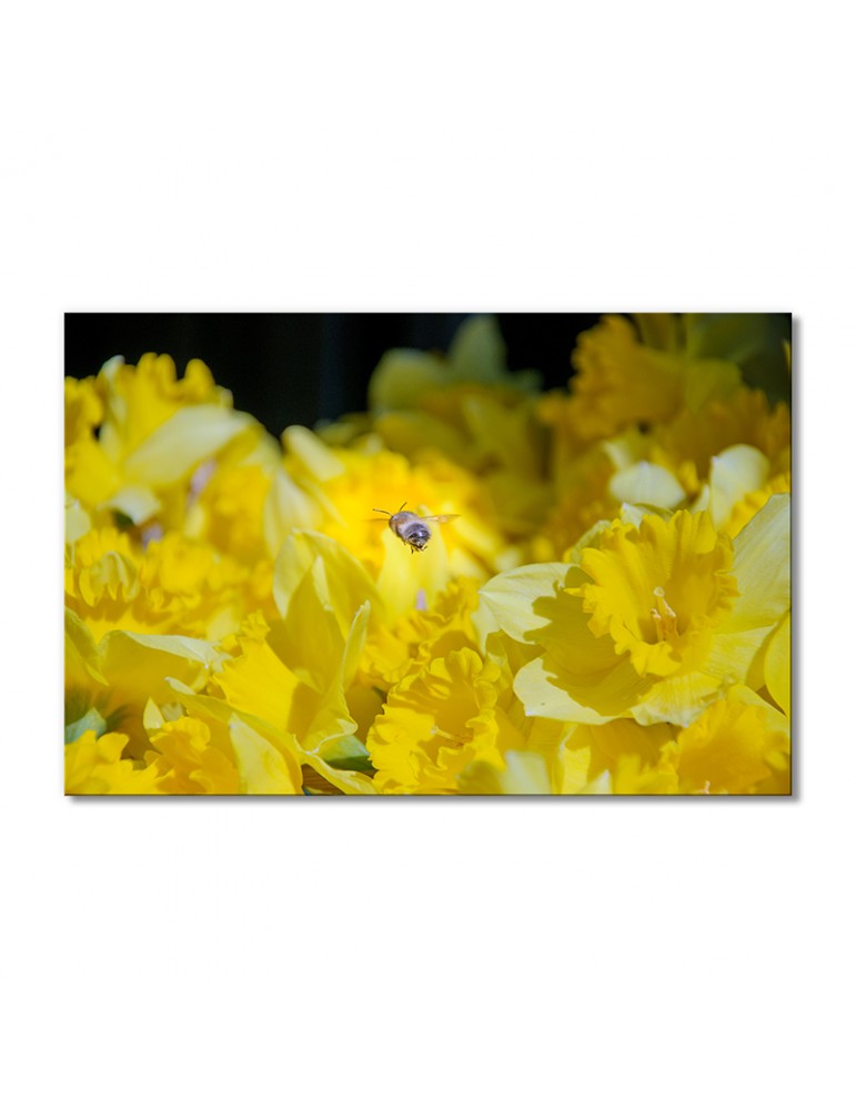 

Модульная картина Artel «Пчела над растениями» 1 модуль 60x90 см