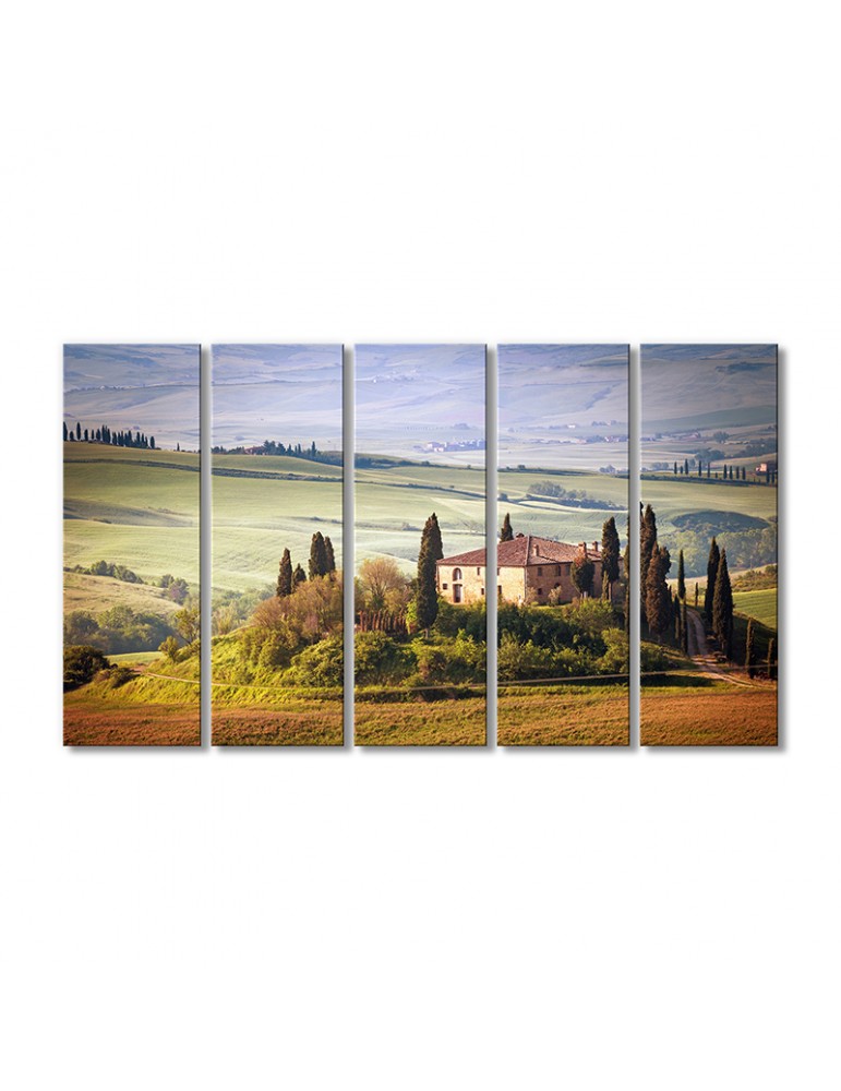 

Модульная картина Artel «Природа деревья зеленые поля Италия» 5 модулей 90x135 см