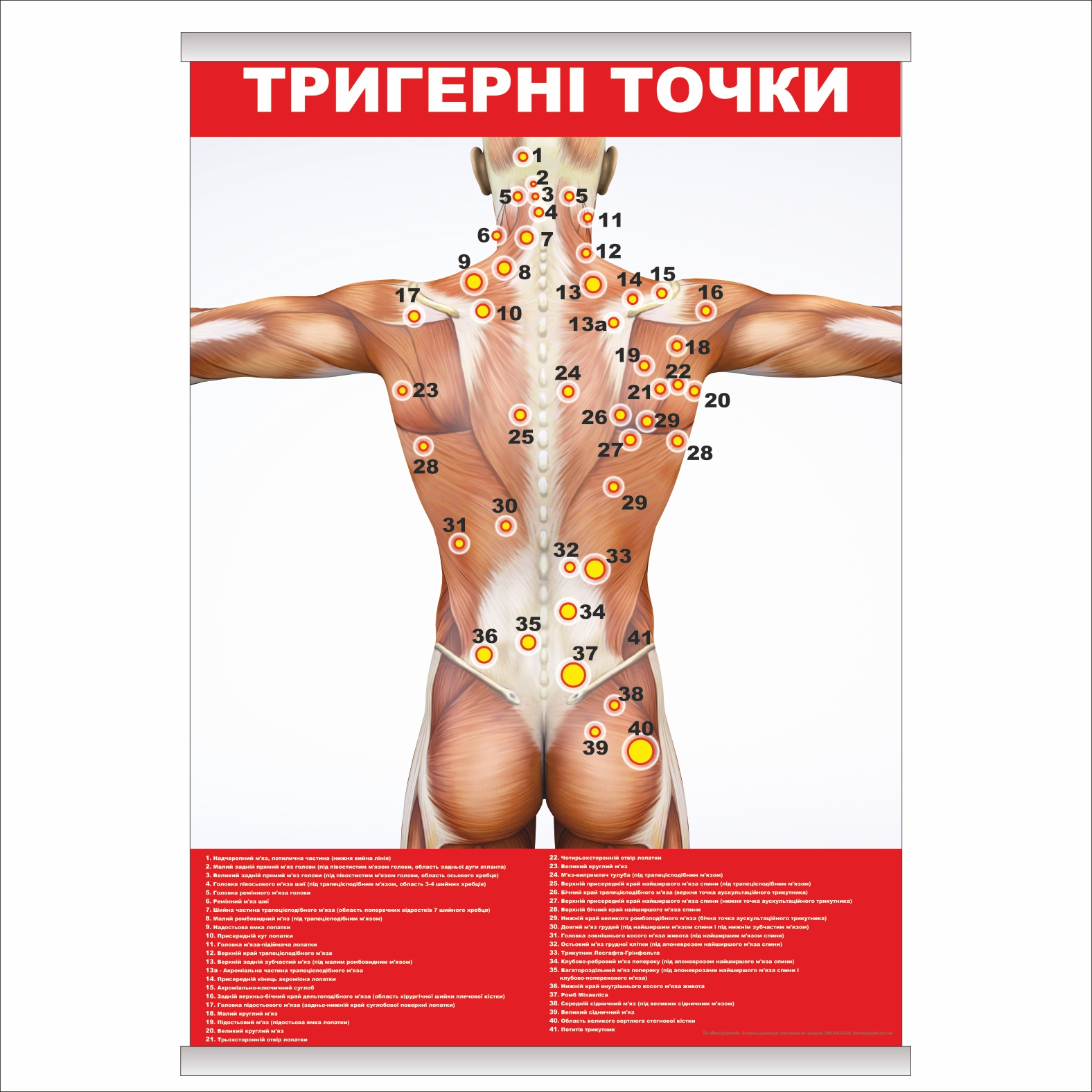 

Плакат Beauty Special "Тригерні точки" с планкой А0 (9179)