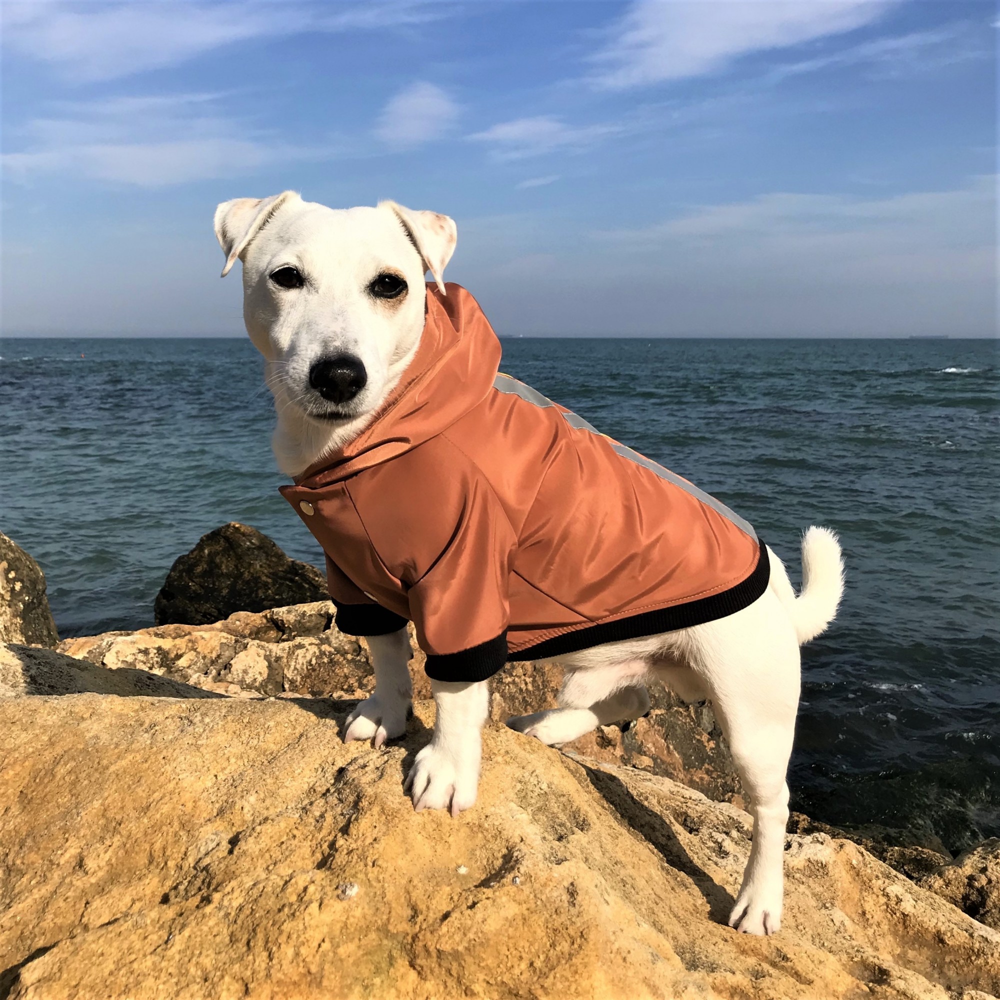 

Куртка-ветровка для собак DogClub Rost XL Brown
