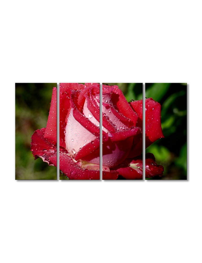 

Модульная картина Artel «Роза в каплях воды» 4 модуля 90x135 см
