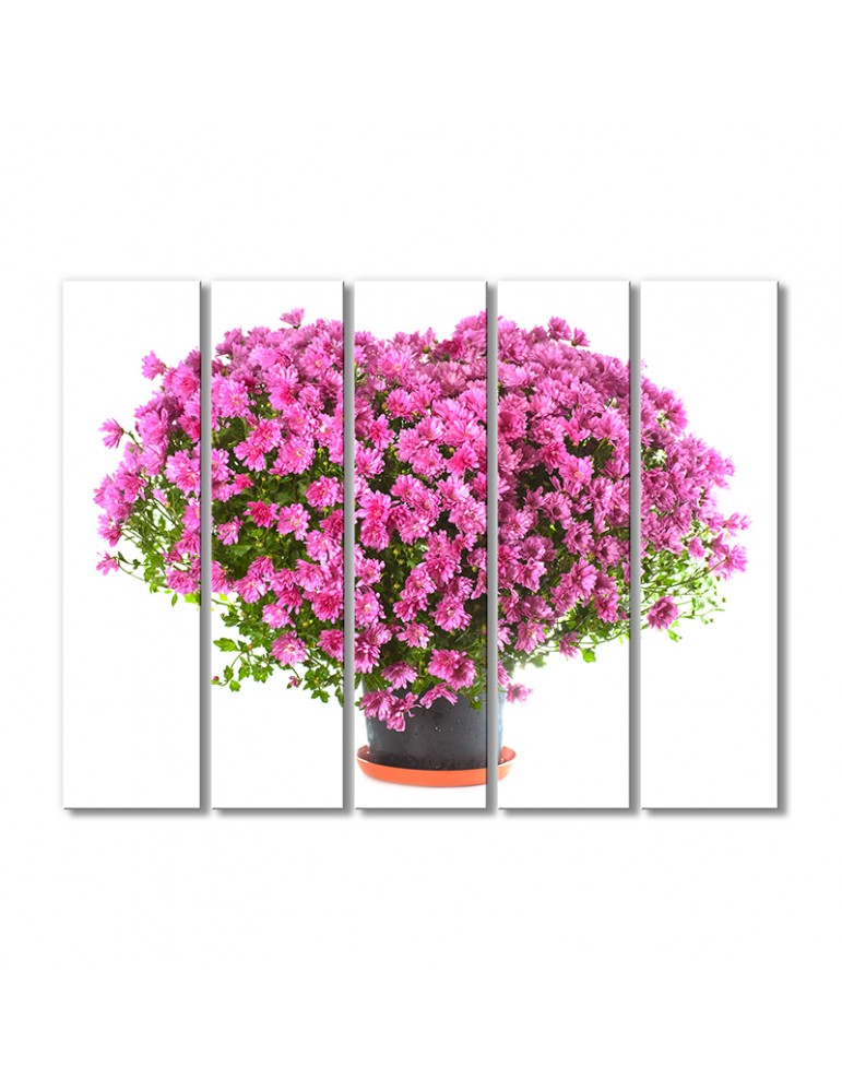 

Модульная картина Artel «Сердце из розовых хризантем» 5 модулей 90x135 см