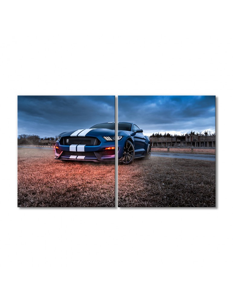 

Модульная картина Artel «Синий Форд Мустанг Шелби GT500» 2 модуля 70x105 см