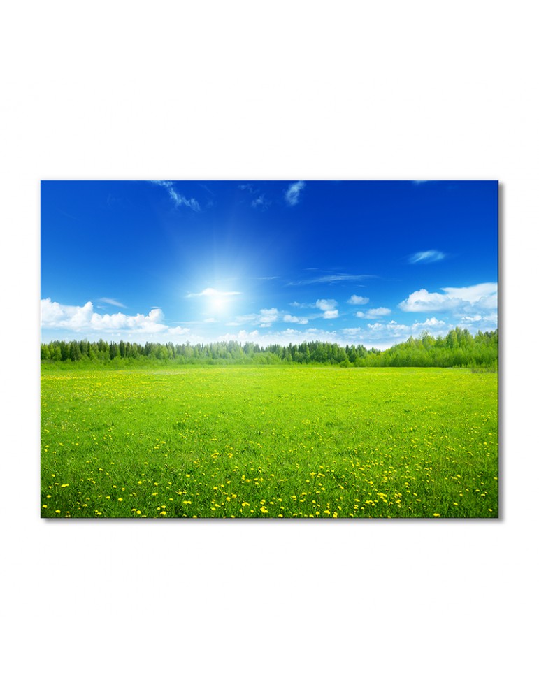 

Модульная картина Artel «Солнечные лучи над полевыми цветами» 1 модуль 60x90 см